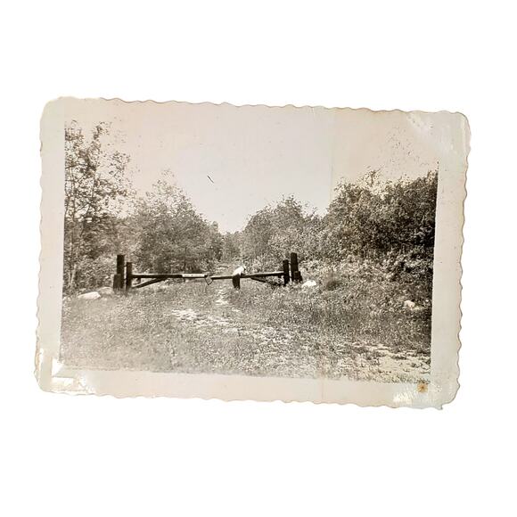 Vtg Trail at Itasca State Park Original Monochrome Photo 1946 Found Snapshot - Picture 1 of 4